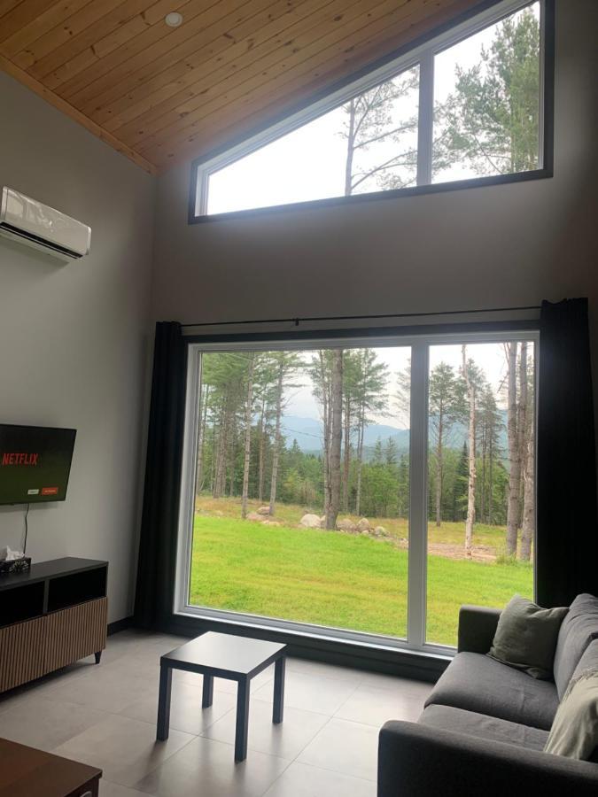 Vallee Bras Du Nord Jumeau #1 Avec Spa Saint-Raymond Екстериор снимка